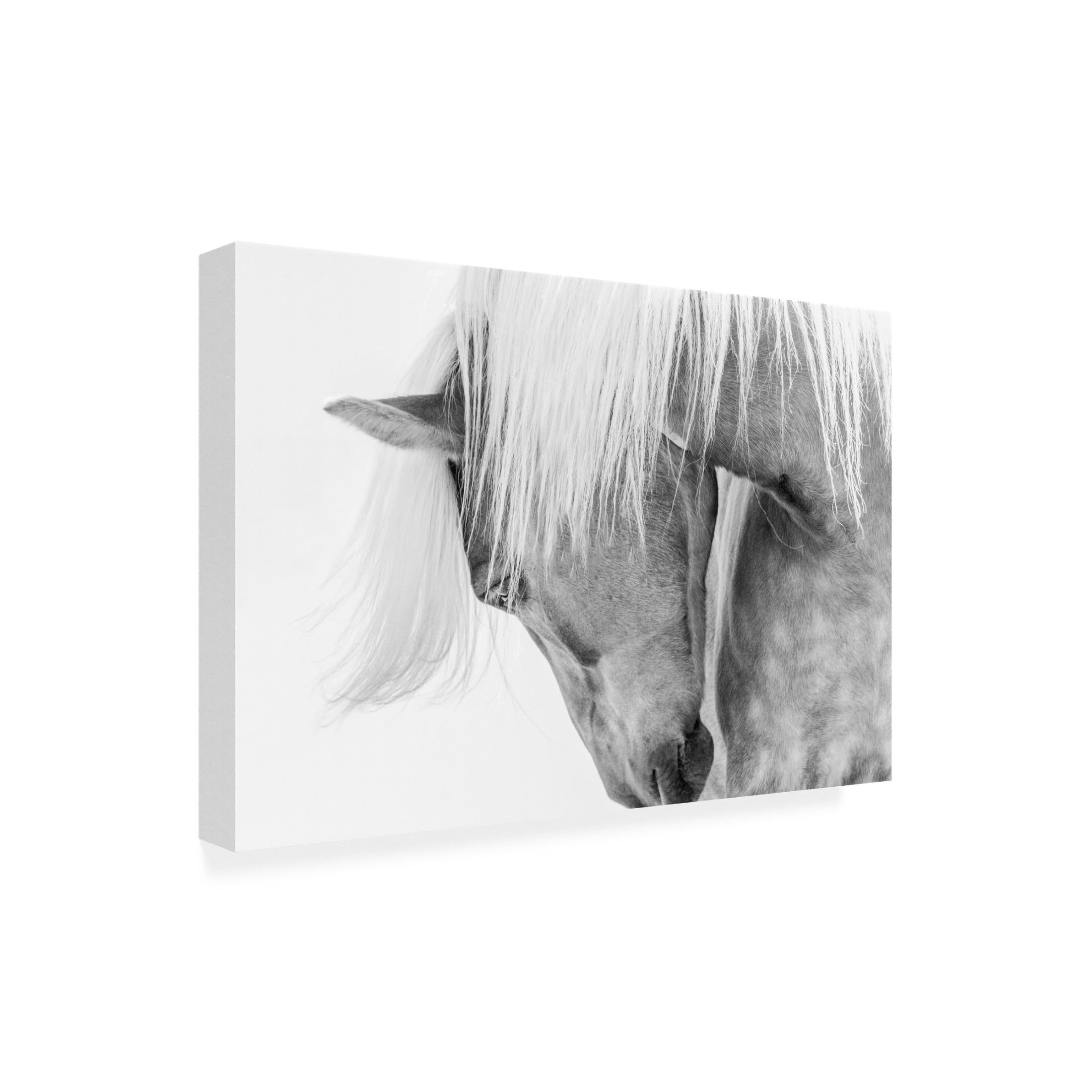 Trademark Fine Art Kimberly Halflinger Portrait Canvas Wall Art