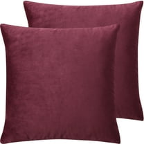PiccoCasa 2Pcs Velvet Throw Pillow Covers Solid Decorative Cushion Covers Burgundy 16"x16"