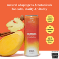 thumbnail image 2 of Moment Adaptogen Drink Spiced Mango Still, 11.5 Oz, 12 Pack Cans, 2 of 6
