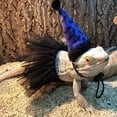 thumbnail image 3 of Traje de Halloween de lagarto disfraz de Halloween de reptil con decoración de alas lindas ajustables a la moda para fiesta de Halloween ANGGREK Otros, 3 of 8