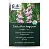 Gaia Herbs Lactation Support Organic Herbal Tea - 16 Caffeine-Free Tea Bags