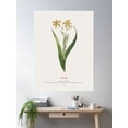 thumbnail image 2 of Ixia Poster Wall Art, Modern Wall Decor For Living Room Bedroom, 12x18 UNFRAMED, 2 of 3