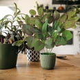 thumbnail image 3 of SIfdSeng Vignes de Verdure Pothos Feuilles pour Mur Intérieur Cour, 3 of 6