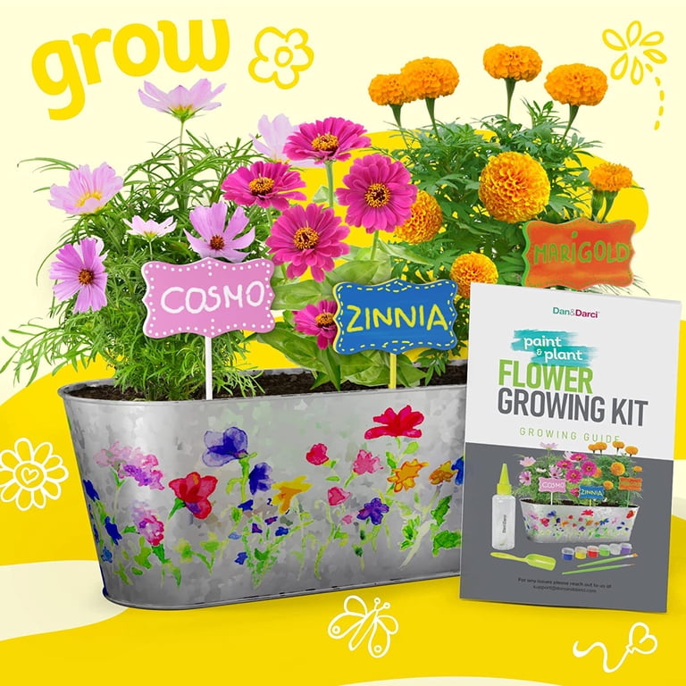 Dan&Darci Paint & Plant Flower Growing Kit for Kids - Best Birthday Crafts  Gifts for Girls & Boys - Christmas Gift - Childrens Gardening Kits, Art ...