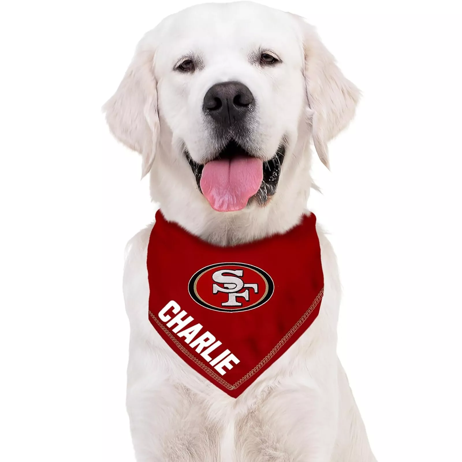 Pets First NFL Personalized Tie Bandana for Dogs & Cats Customizable Dog Bandana