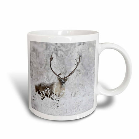 3dRose Caribou wildlife migrates, Finger Mountain, Alaska, USA - US02 HRO0402 - Hugh Rose, Ceramic Mug, (Best Place To Hunt Caribou In Alaska)