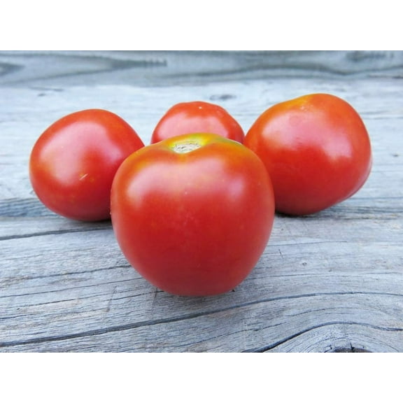 Stupice Heirloom Tomato Premium Seeds Packet