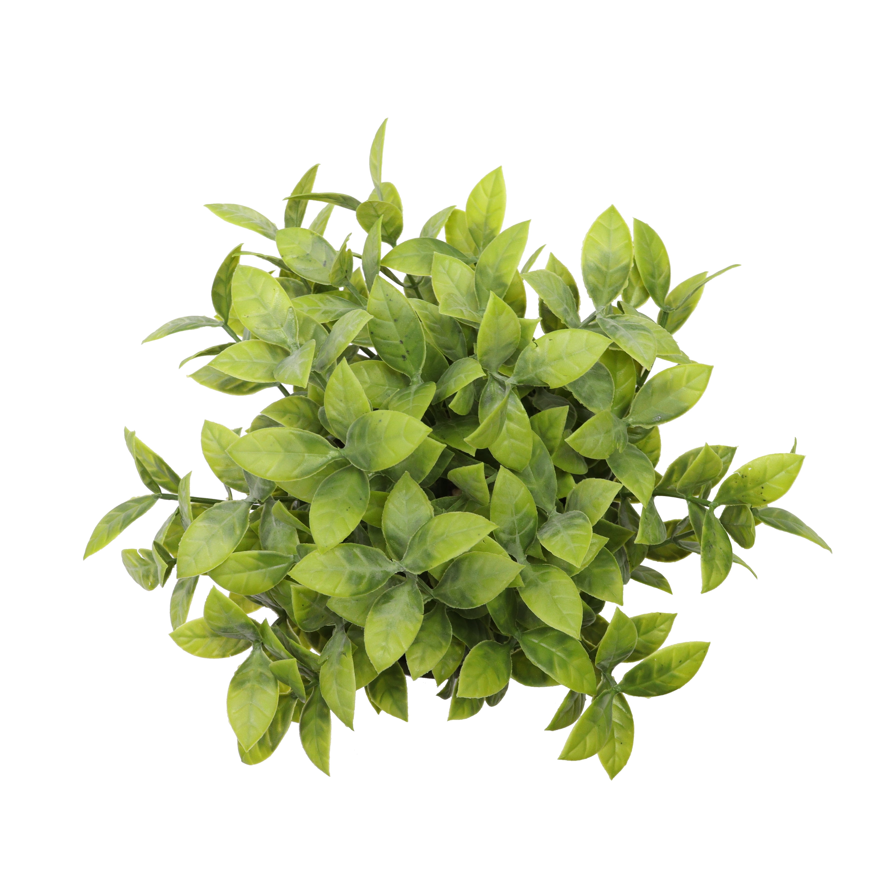 Nature's Mark 9”H Artificial Jade Plant in Gray Ceramic Pot