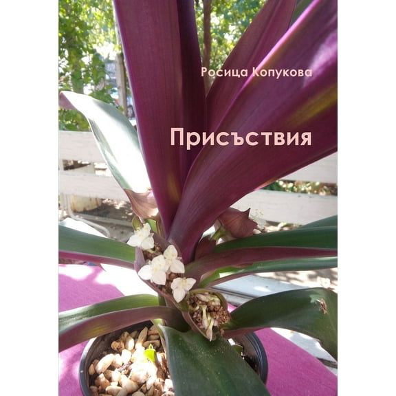 Присъствия (Paperback)