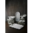 thumbnail image 4 of Beatriz Ball Alegria Melamine Double Dip Platter White, 4 of 11