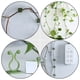 thumbnail image 2 of 80 piezas de clips para plantas trepadoras de pared, ganchos adhesivos para pared, 2 of 5