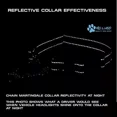 thumbnail image 5 of Collar Martingale Con Cadena De Acero Inoxidable Max Y Neo -, 5 of 5