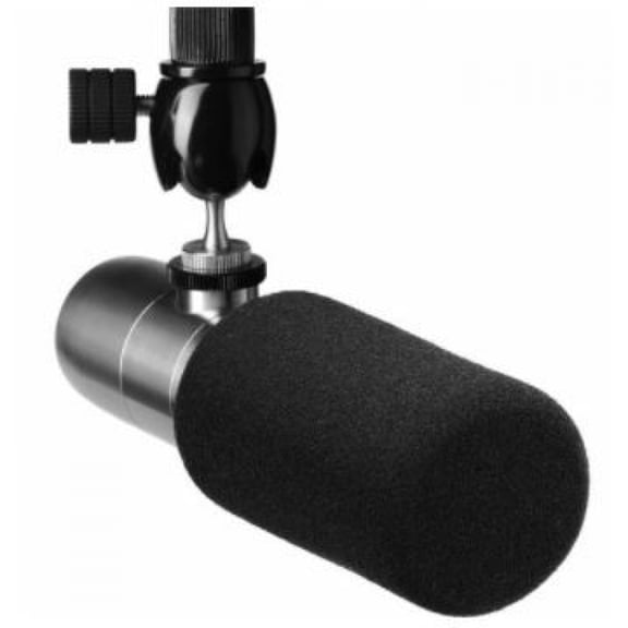 Earthworks ETHOS Streaming and Broadcasting Microphone Silver