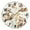 Gold, variant on Cartoon Raccoon Fox Round Wall Clock Battery Operated Silent Non-Ticking Bedroom Office Kitchen Home School Decor 10"(Black)