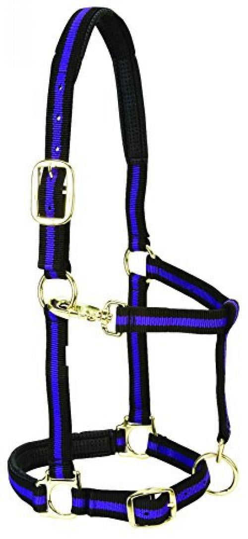 Weaver Leather Padded Adjustable Nylon Horse Halter, Purple, 1" Average