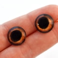 thumbnail image 3 of Deep Amber Dog Glass Eyes, 3 of 11