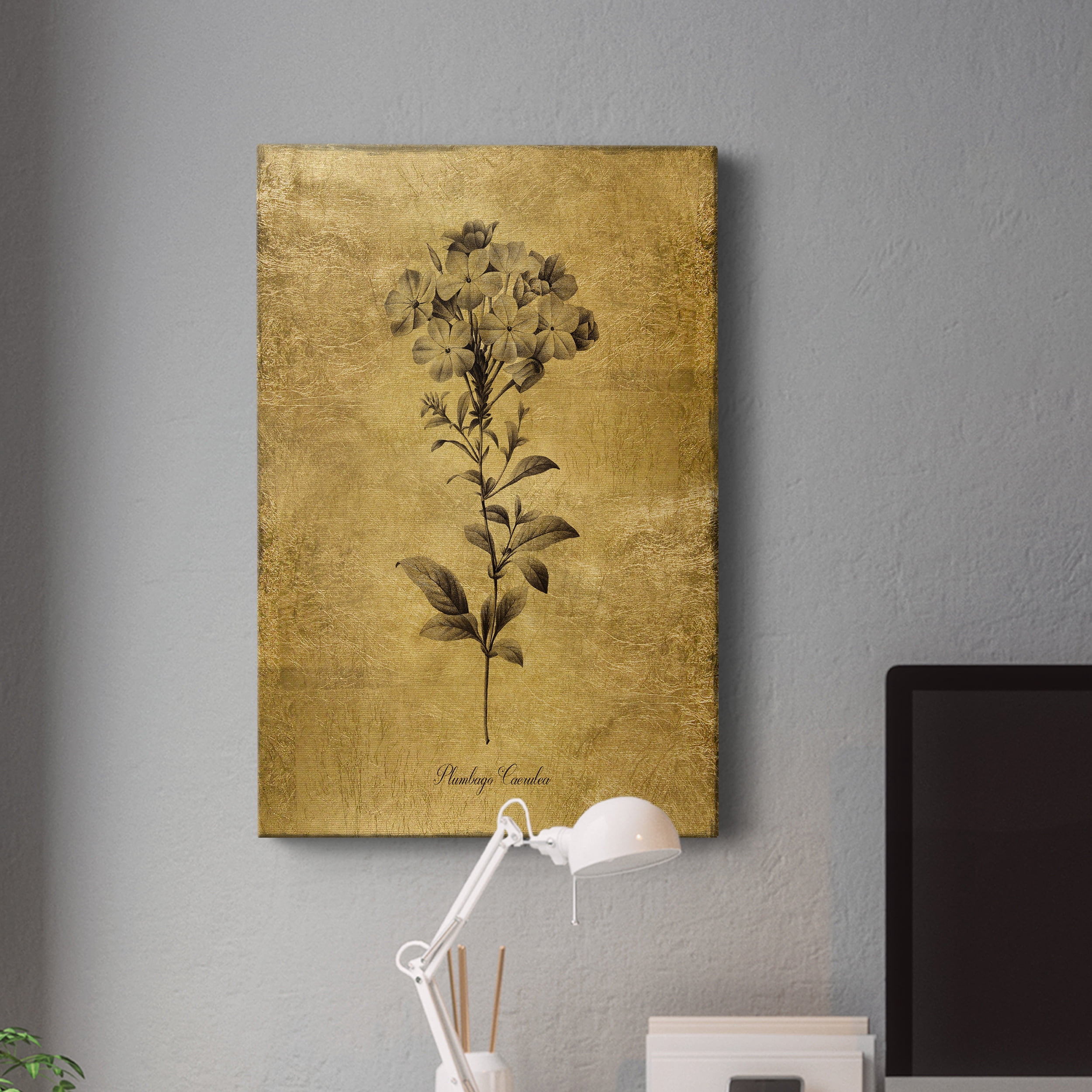Gold Sketch Botanical II Premium Gallery Wrapped Canvas - Ready to Hang - 24 x 36