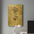 thumbnail image 5 of Gold Sketch Botanical II Premium Gallery Wrapped Canvas - Ready to Hang - 18 x 27, 5 of 9