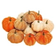 thumbnail image 2 of Cojín de Color de calabazas Zulema 24x de terciopelo, 2 of 7