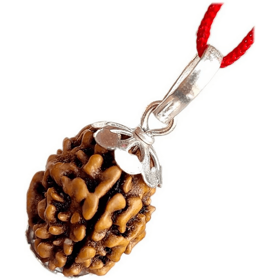 Kamada 3 mukhi/faced rudraksha pendant/ ,Spritual Necklace pendants for Women and Men