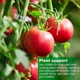 thumbnail image 4 of Clips para plantas, plástico, abrazaderas, clips para colgar, clips para vid, clips para vid, clips para plantas que soportan tomates, pimientos, plantas de vid y flores de desarrollo vertical, 4 of 5