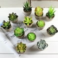 thumbnail image 4 of Plantes Succulentes Artificielles Décoratives avec Pots Gris (035), 4 of 4