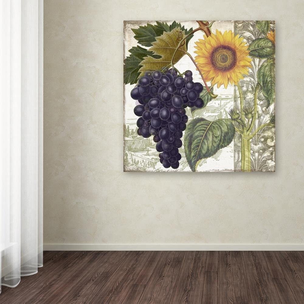 Trademark Fine Art "Dolcetto I" Canvas Art by Color Bakery