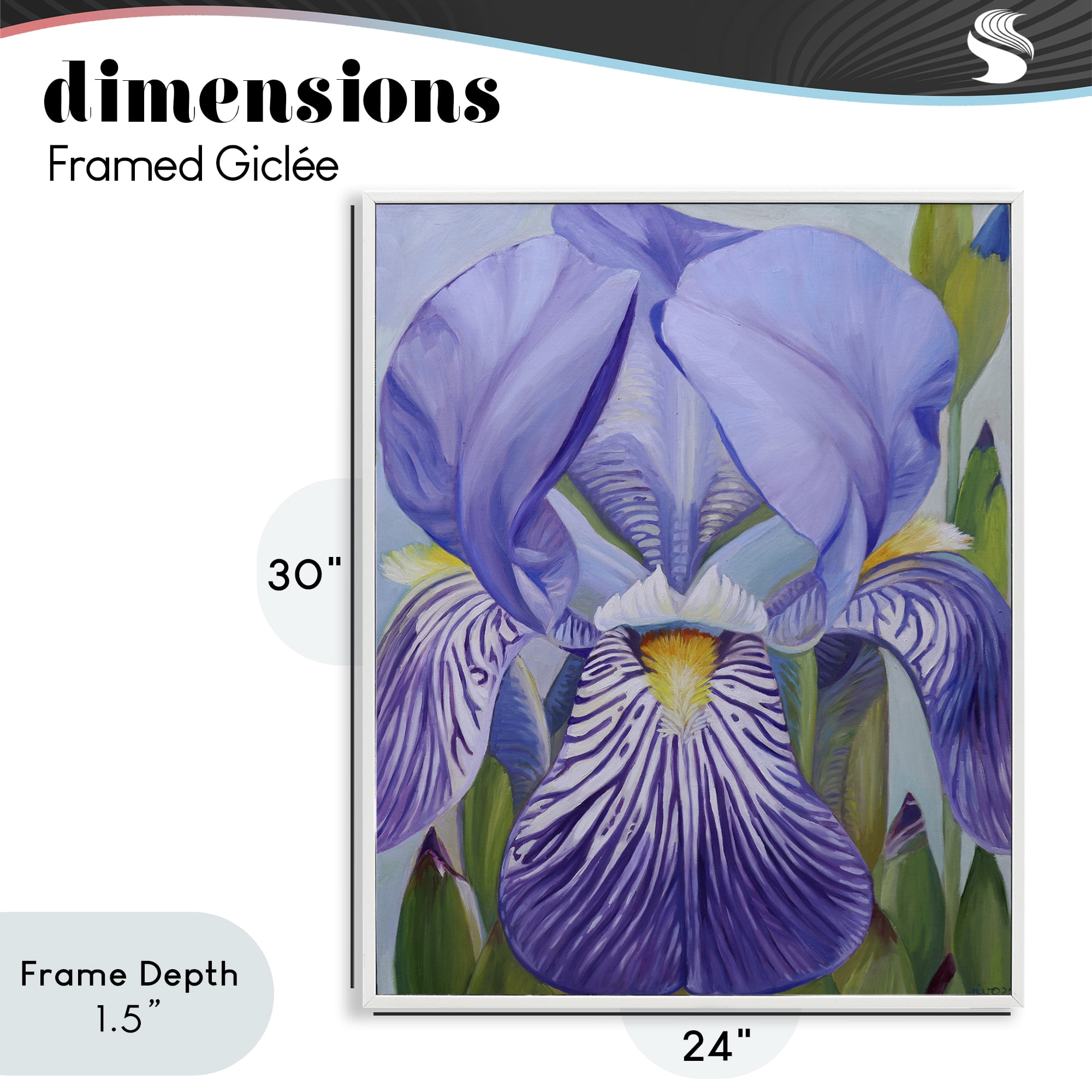 Stupell Industries Blooming Purple Iris Petals White Framed Giclee Art, design by Violeta Vollmer