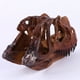 thumbnail image 5 of Ceratosaurus Cráneo Réplica Modelo Acuario Adorno Decoración, 5 of 7