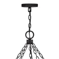 thumbnail image 3 of 29209BK Hinkley Lighting Sawyer - 75W 15 LED Outdoor Extra Large Hanging Lantern In Rustic Style-28.5 Inches Tall and 46 Inches Wide, 3 of 7