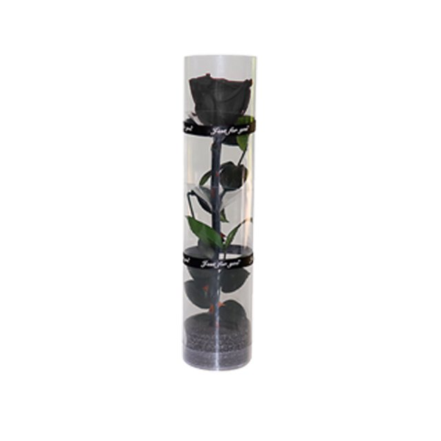 rosas de verdadera preservación, rosas eternas, rosas duraderas, rosas florecientes eternas Ormromra CPB-SSW340-3