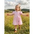 thumbnail image 6 of BemeyourBBs Kids Toddler Girls Pink Birthday Day Dress Outfit 1 2 3 4 5 6 Years Old Birthday Summer Clothes Little Girl Puff Short Sleeve Doll Collar Carousel Balloon Cake Embroidery Dress, 6 of 9