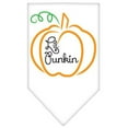 thumbnail image 5 of Halloween Pet and Dog Bandana Screen Printed, "Lil Punkin", 5 of 10