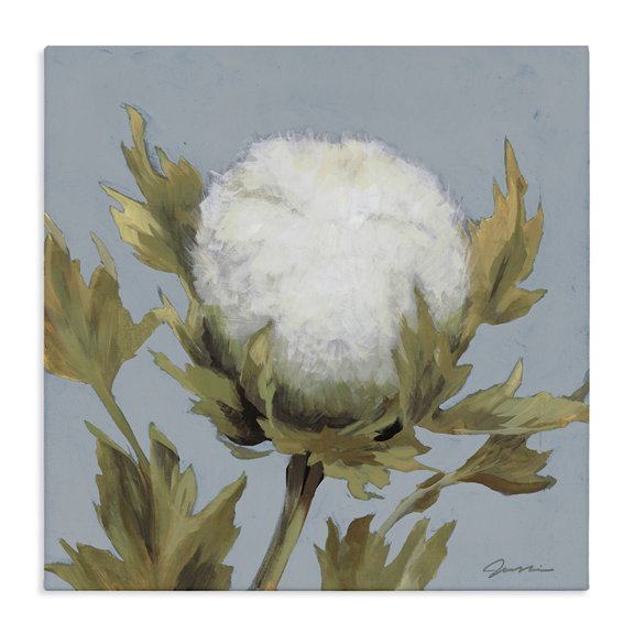 Stupell Industries French Country Cotton Flower Blooming Nature Canvas Art, 30 x 30, by Liz Jardine