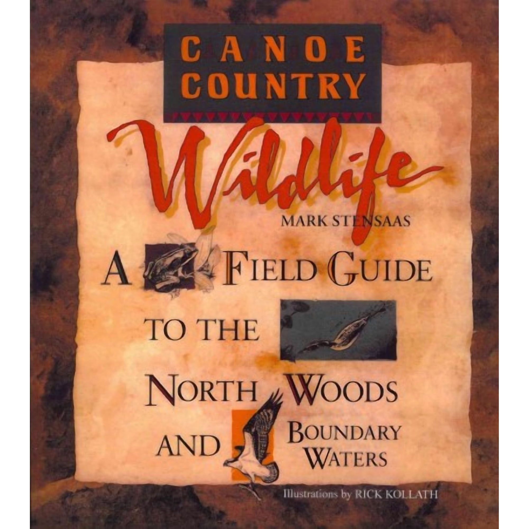 Canoe Country Wildlife : A Field Guide to the North Woods and Boundary Waters (Paperback)