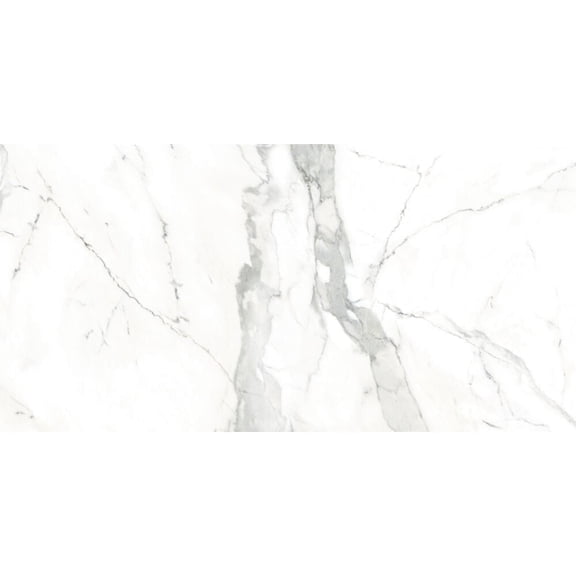 The Tile Life Museum White Polished Porcelain Floor & Wall Tile, 24 x 48 in, 2-Piece