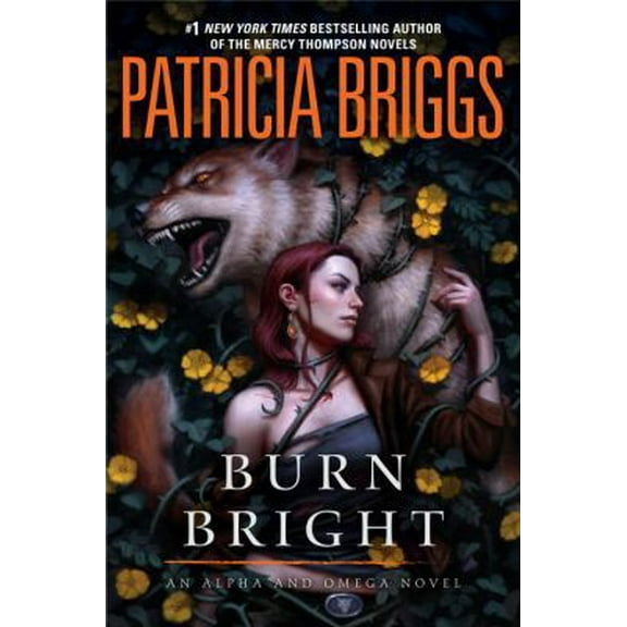 Pre-Owned Burn Bright (Hardcover) 0425281310 9780425281314