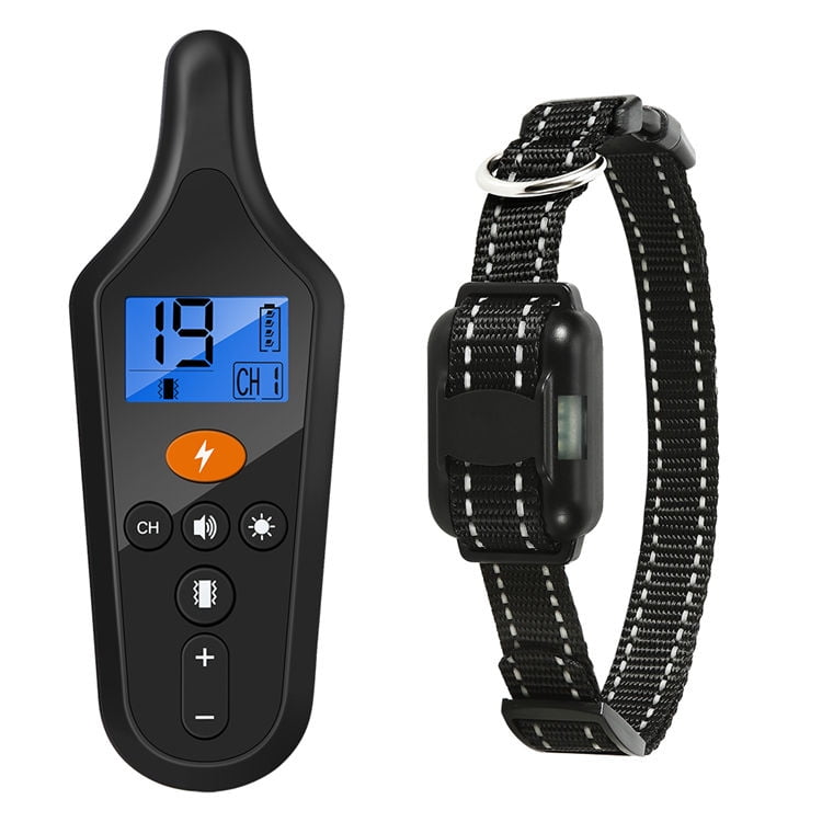 Dog ed training collar discount
