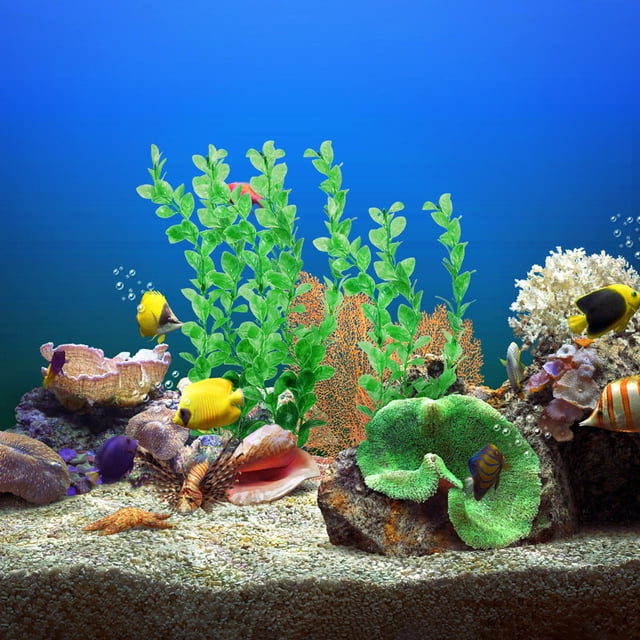 WEUVEB 3Ud Artificiales De Plástico Para Acuario Realistas Y Decorativas