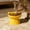 Yellow, variant on Lunxisen 4 Pcs Elevated Cat Food Bowl, Ceramic Raised and Tilted Water Bowl, Anti Vomiting and Protect Pets' Spines Dishes for Small Dog, Fat Faced Cat, Kitten