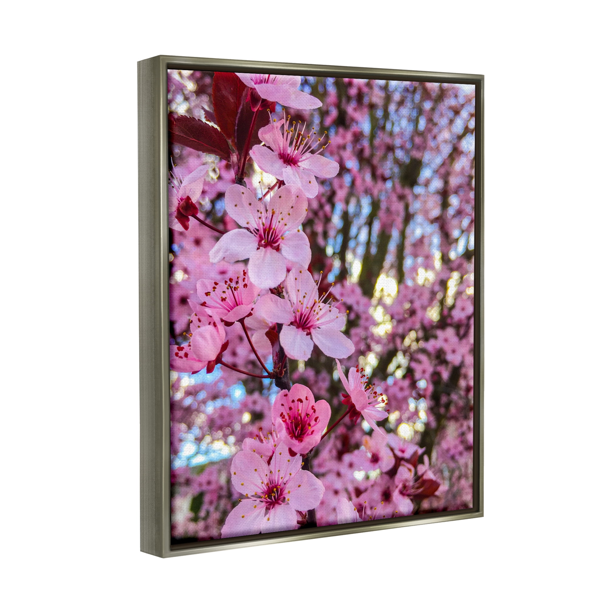 Stupell Spring Cherry Blossom Tree Nature Botanical & Floral Photography Gray Floater Framed Art Print Wall Art
