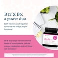 thumbnail image 4 of Youtheory B12B6 - Vitamin B12 & B6 - Supports Mood, Nervous System & Metabolism* - Aids Memory & Stress Management* - No Dairy, Soy or Gluten - 60 Capsules (60 Servings)*, 4 of 7