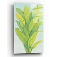 thumbnail image 1 of Epic Art 'Chartreuse Tropical Foliage II' by Tim O'Toole, Acrylic Glass Wall Art, 16"x24", 1 of 3