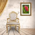 thumbnail image 3 of Merrill Images 19x24 Gold Ornate Wood Framed with Double Matting Museum Art Print Titled - Fiji-Taveuni Island Close-up of hibiscus flower, 3 of 4