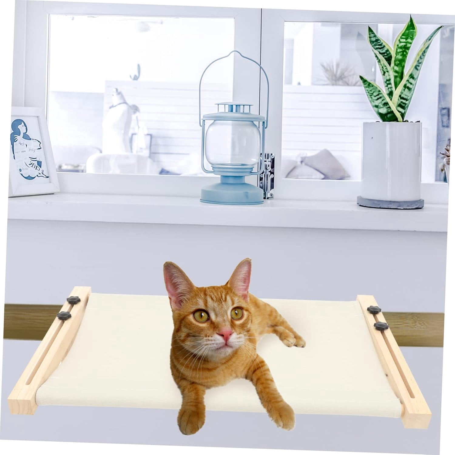 Adjustable Cat Window Hammock, Warm, Indoor Perch for Indoor Cats