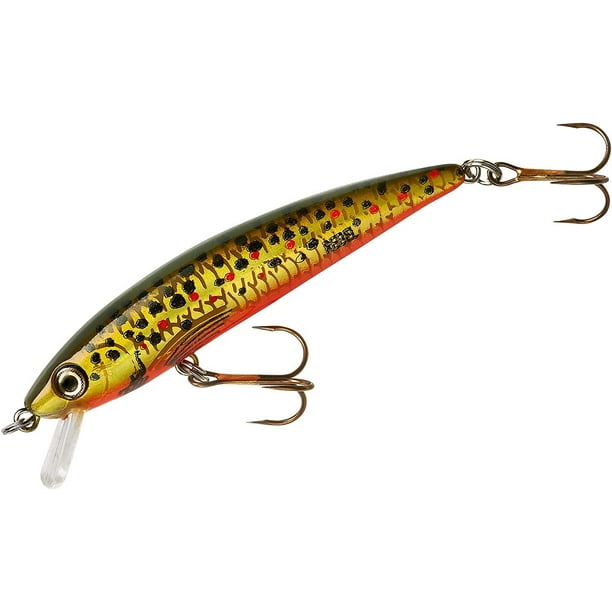 Tracdown Ghost Minnow Slow-Sinking Crankbait Fishing Lure - Great for B,  Trout and Walleye 