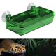 thumbnail image 4 of Ventosa para es, plato de alimentación, cuenco de agua, suministros, contenedor de gusanos a prueba de , accesorios de alimentación para 65x135x25cm Verde Colco Alimentador de reptiles, 4 of 8