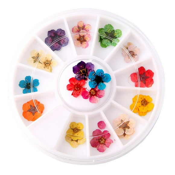 Miangastore 1 Box of Manicure Dried Flowers Nail Art Supplies Colorful Nail Tips 5 Petals Plum Blossom Sticker
