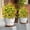Yellow, variant on Artificial Rose Bushes for Outdoors,Faux Flowers with Ground Spikes,Creative Outdoor Indoor Garden Home Decoration,Multiple Colors Available for Porch Patio Wedding Party Decor 