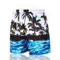 thumbnail image 3 of Mens Swim Tropical Palm Leaf Print Swimming Trunks Stretch Swim Suits Quick Dry Beach Shorts XKZ078260429X33 XXL, 3 of 4